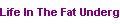 Life In The Fat Underground by Sara Fishman
